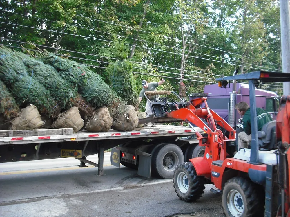 Local outdoor landscaping in Canonsburg, PA by Growing Seasons Landscaping
