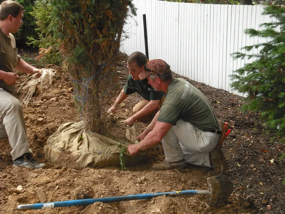 Expert lawn mowing service in Canonsburg, PA by Growing Seasons Landscaping