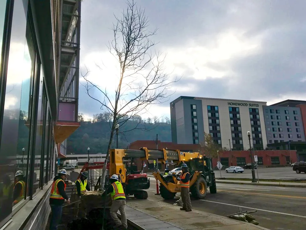 Local landscaping services near you in Canonsburg, PA by Growing Seasons Landscaping