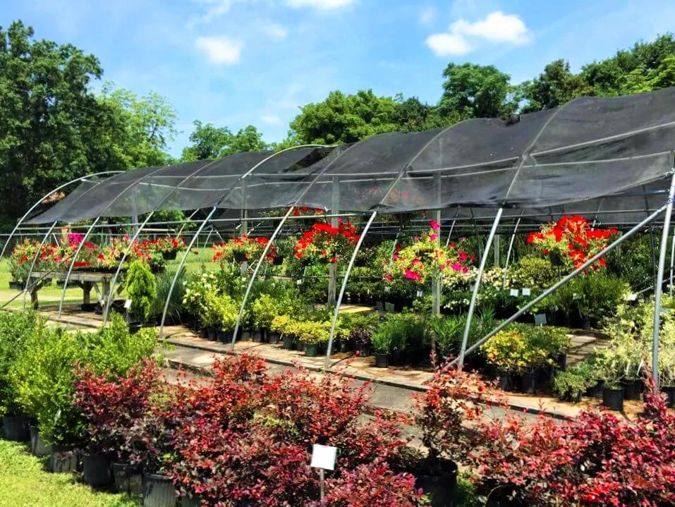 Reliable landscape installation in Texarkana, TX - Growing Seasons