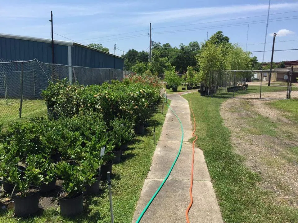 Custom landscaping services experts serving Texarkana, TX - Growing Seasons
