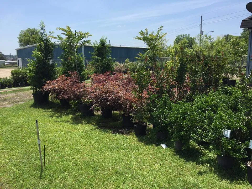 Professional yard maintenance experts serving Texarkana, TX - Growing Seasons