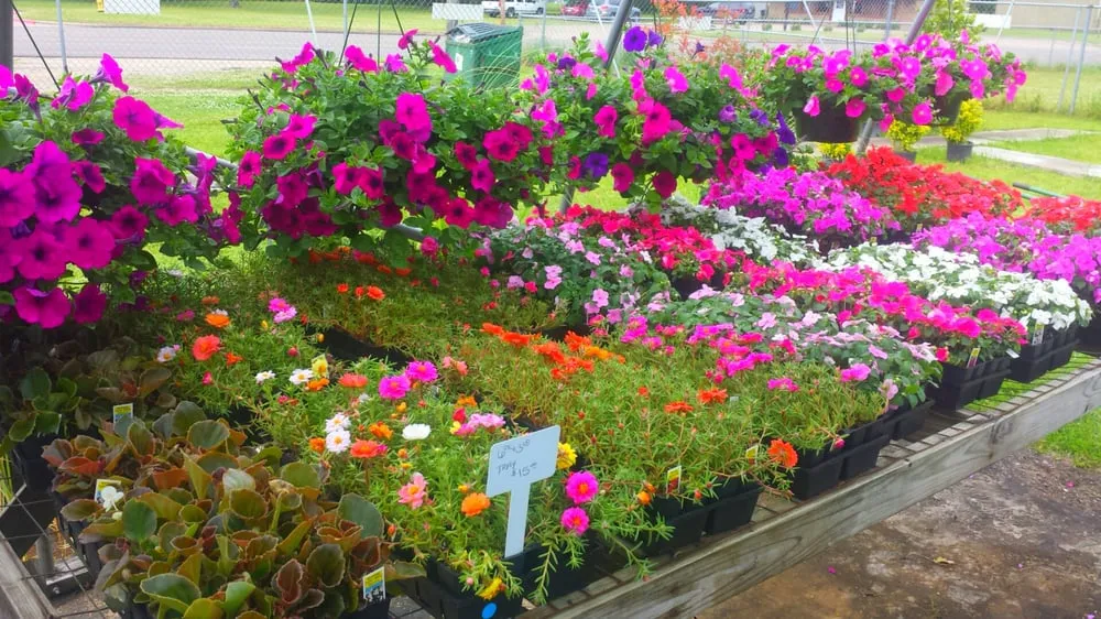 Custom yard maintenance with custom design in Texarkana, TX by Growing Seasons