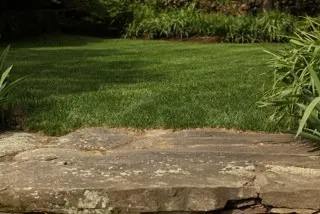 Custom residential landscaping for beautiful yards in Ridgefield, CT by Growing Solutions