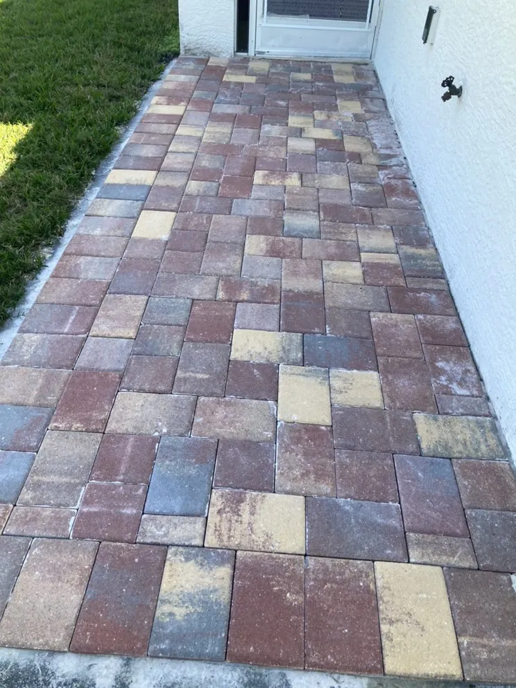 Affordable lawn care service for homes across Venice, FL - Growing Together landscape services