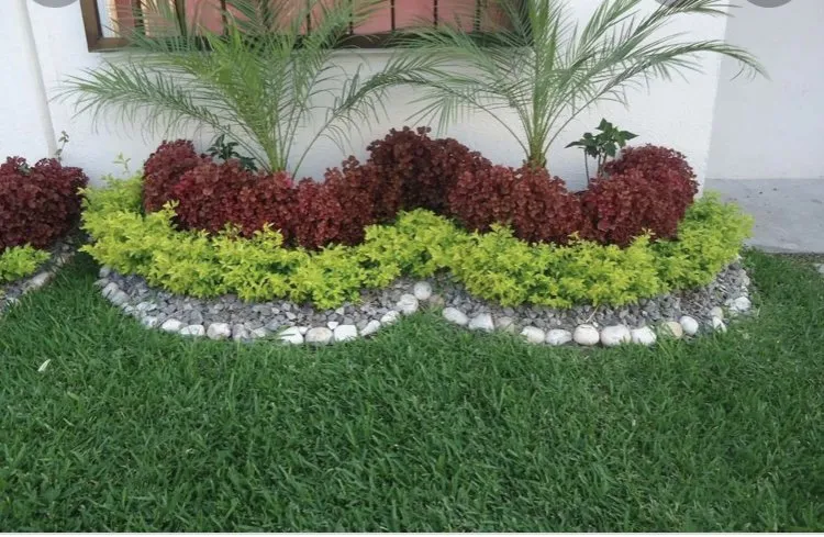 Custom yard maintenance for outdoor upgrades in Venice, FL by Growing Together landscape services