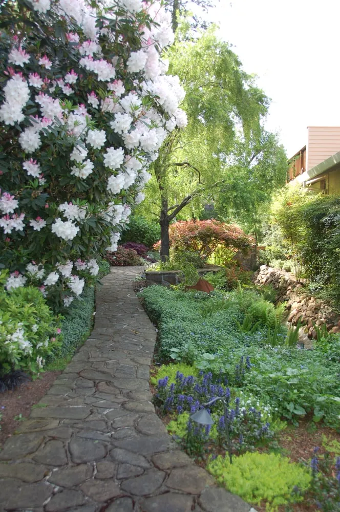 Professional yard maintenance experts serving San Rafael, CA - Growing Works Landscaping