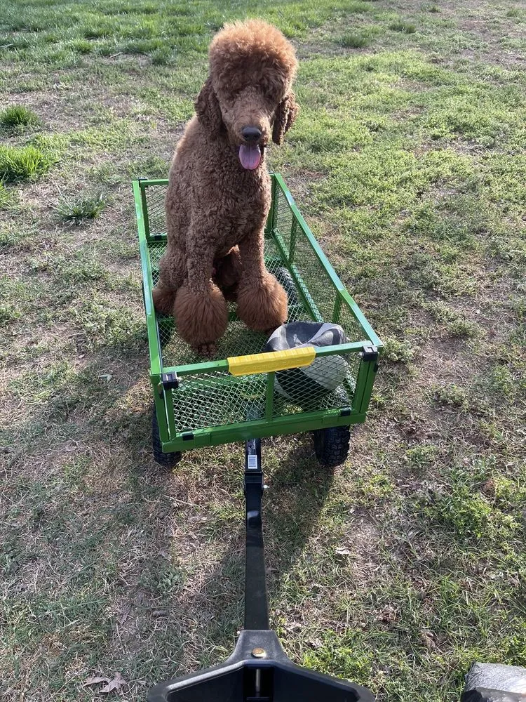 Expert lawn mowing service in Kernersville, NC - GrowinGreen
