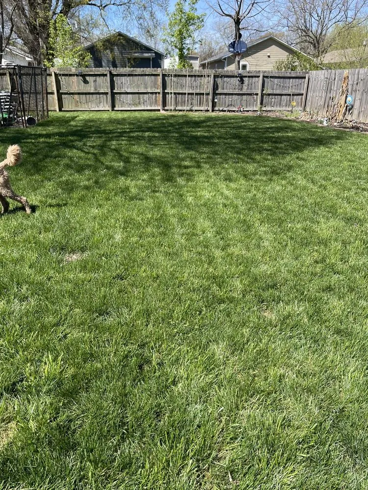 Professional landscape installation in Kernersville, NC - GrowinGreen