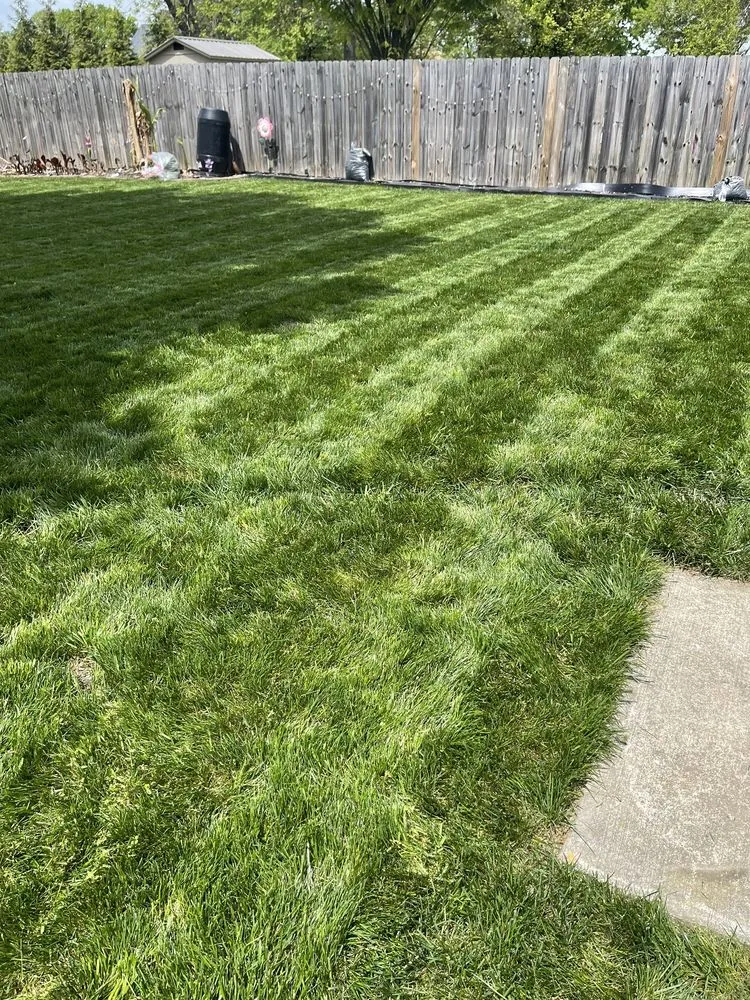 Custom yard cleanup service in Kernersville, NC - GrowinGreen