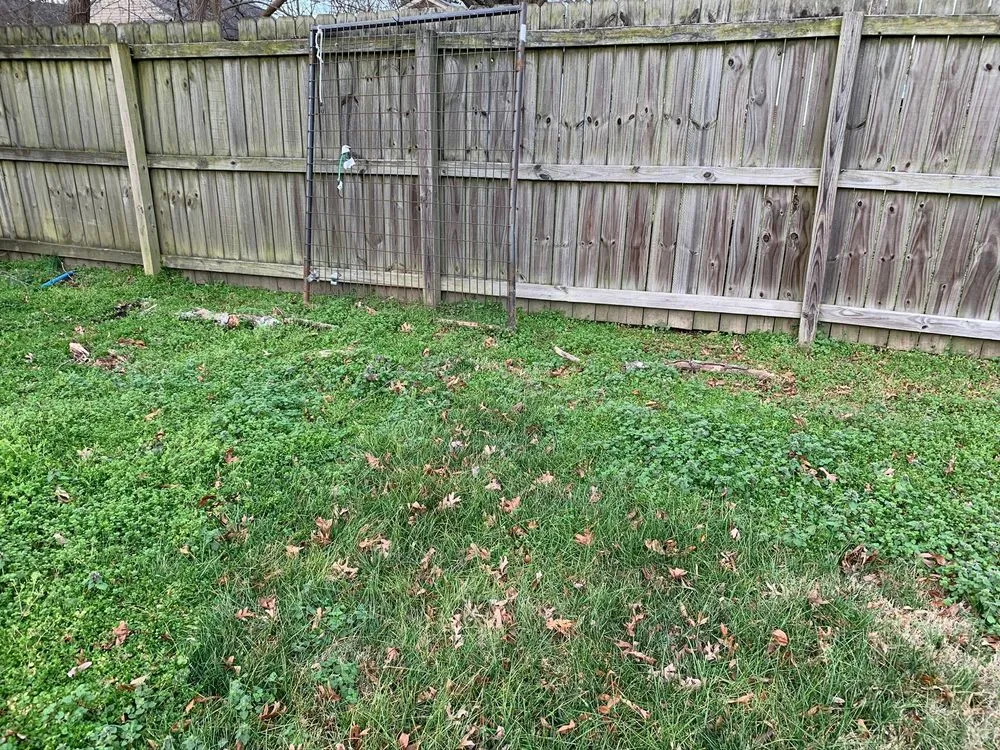 Custom garden landscaping in Kernersville, NC - GrowinGreen