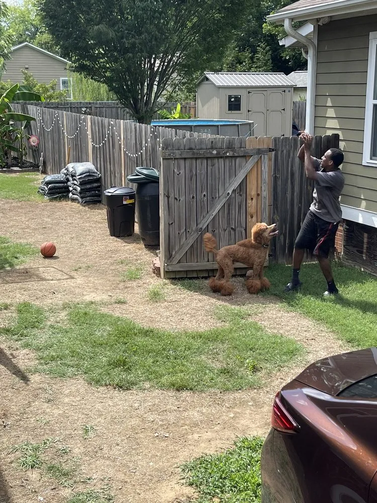 Expert landscaping services in Kernersville, NC - GrowinGreen