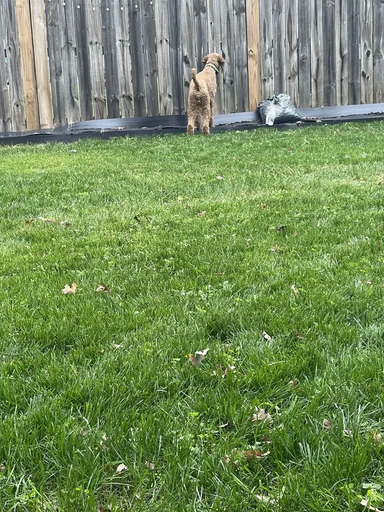 Trusted landscaping services experts serving Kernersville, NC - GrowinGreen