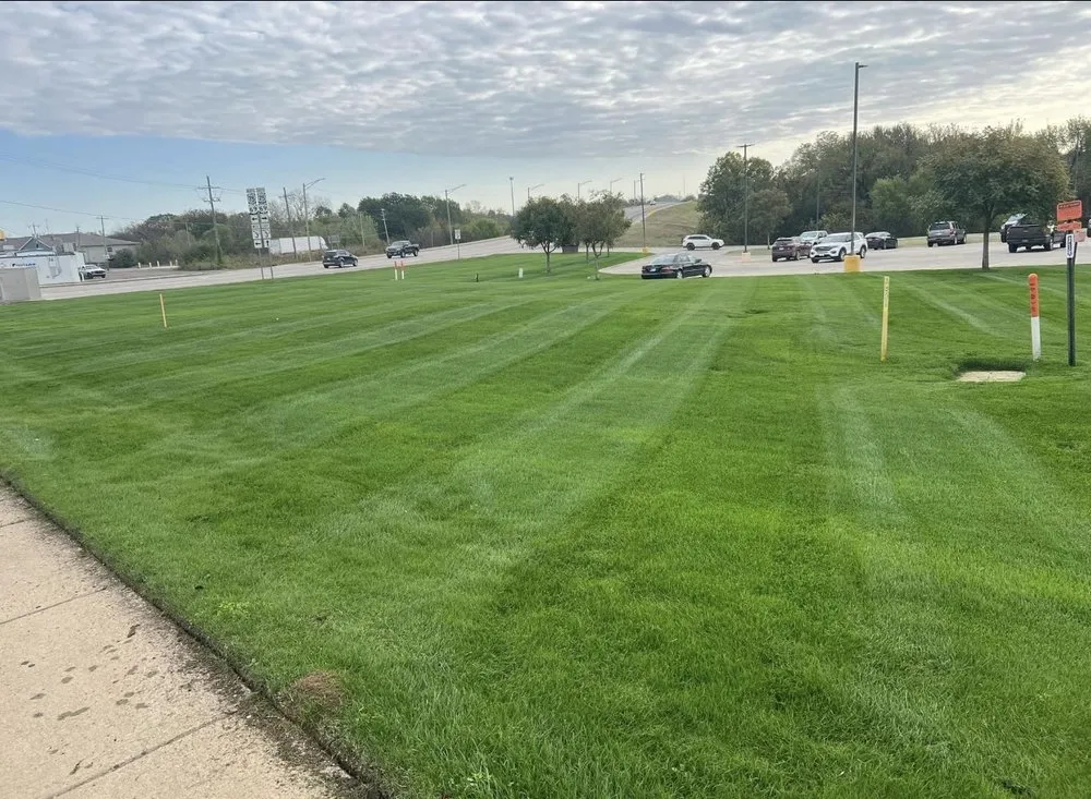 Professional yard cleanup service in Lawrenceville, GA by Grown Landscaping