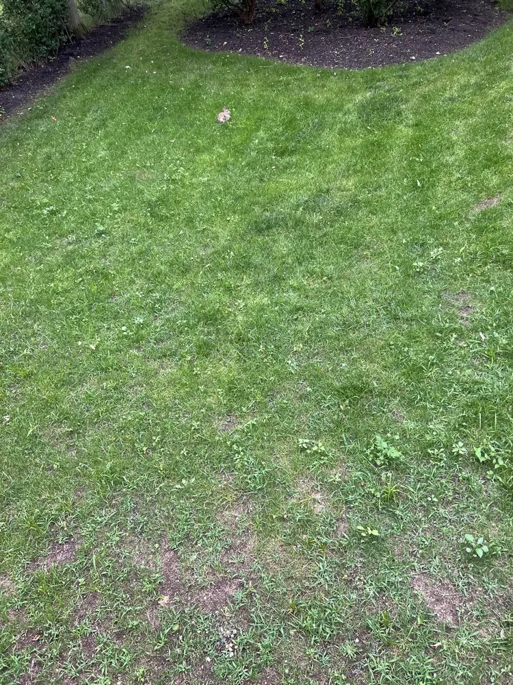 Professional landscape design with custom design in Braintree, MA by Grow'N Mow Landscaping & Hardscaping