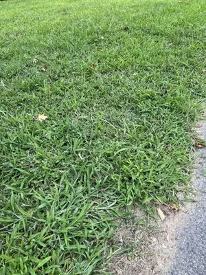 Grow'N Mow Landscaping & Hardscaping