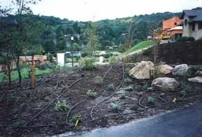 Trusted landscape installation in Richmond, CA by GrowPlenty Productive Landscapes