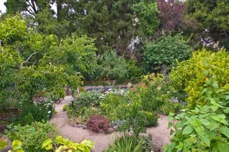 Local landscape design in Richmond, CA - GrowPlenty Productive Landscapes