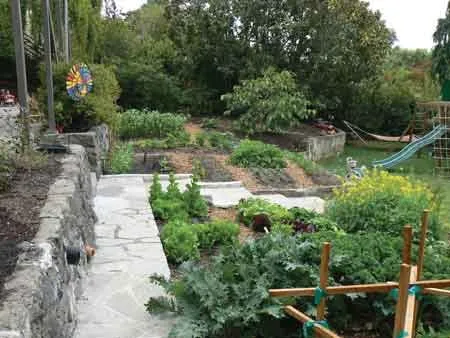 Reliable landscape design in Richmond, CA - GrowPlenty Productive Landscapes