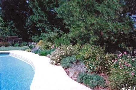 Custom outdoor landscaping experts serving Richmond, CA - GrowPlenty Productive Landscapes