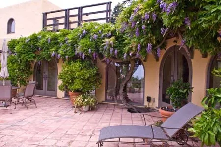 Custom lawn care service in Richmond, CA - GrowPlenty Productive Landscapes