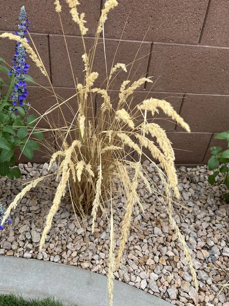 Top-rated landscape design for homes across Washington, UT - GrowPro Landscaping and Maintenance