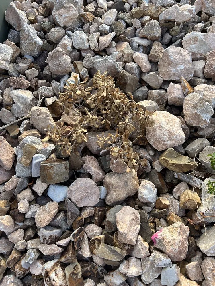 Reliable lawn mowing service in Washington, UT - GrowPro Landscaping and Maintenance