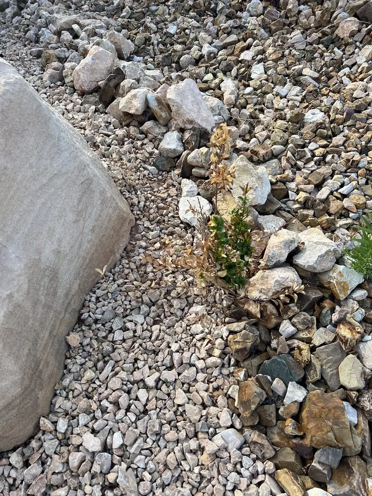 Affordable lawn mowing service for homes in Washington, UT by GrowPro Landscaping and Maintenance