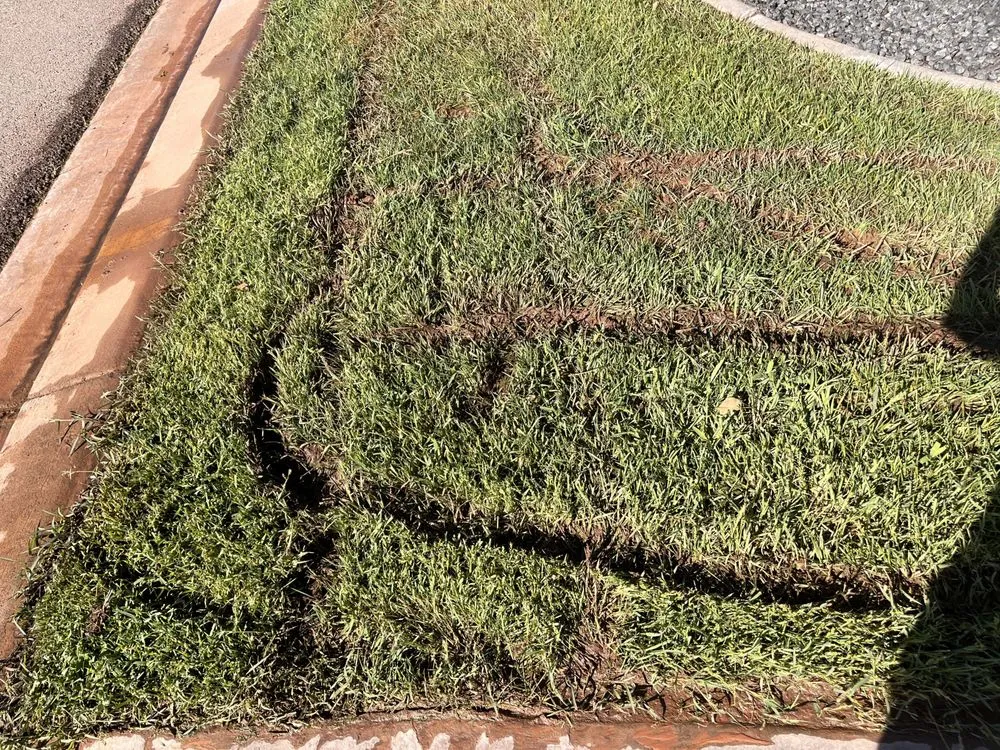 Professional lawn mowing service experts serving Washington, UT - GrowPro Landscaping and Maintenance