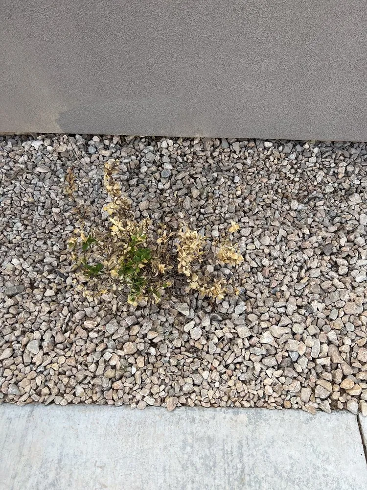 Custom landscape installation in Washington, UT by GrowPro Landscaping and Maintenance