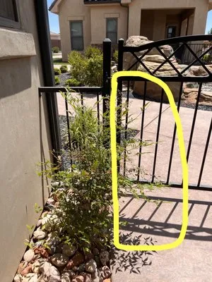 GrowPro Landscaping and Maintenance