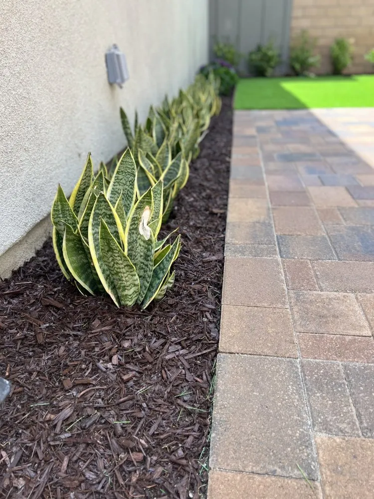 Professional landscaping services with custom design in San Diego, CA by Growscapes