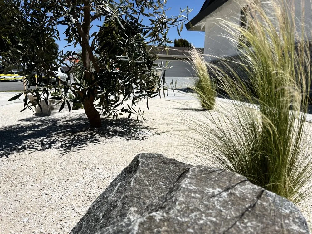 Trusted lawn care service experts serving San Diego, CA - Growscapes