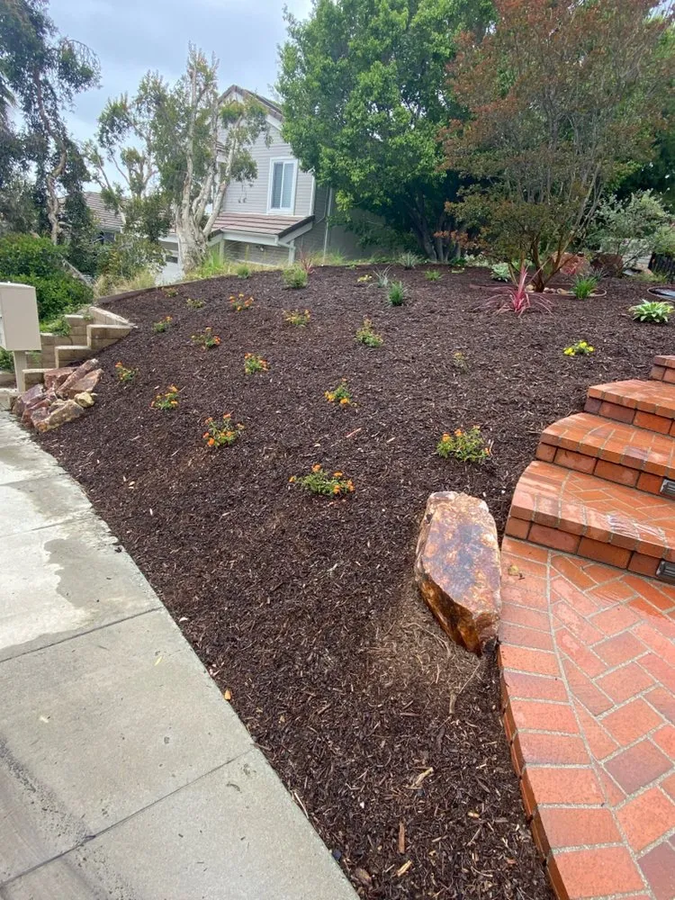 Reliable yard cleanup service in San Diego, CA - Growscapes