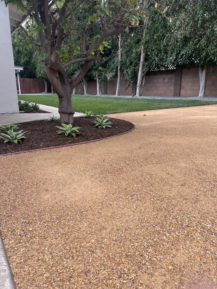 Custom yard cleanup service for residential properties across San Diego, CA - Growscapes