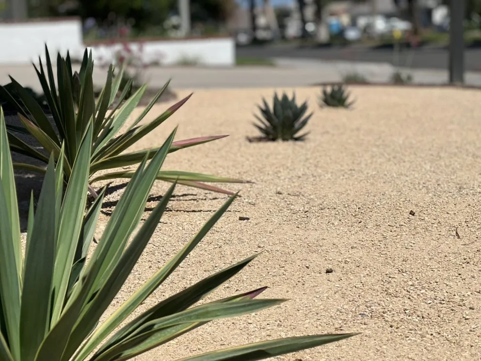 Reliable landscape installation with custom design in San Diego, CA by Growscapes