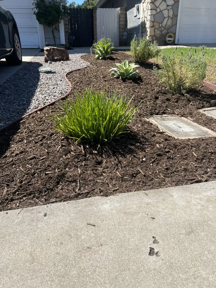 Top-rated yard maintenance experts serving Tustin, CA - Growscapes