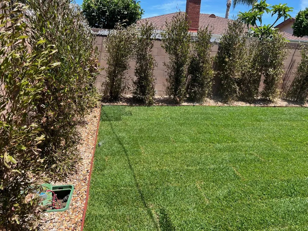 Reliable residential landscaping in Tustin, CA by Growscapes