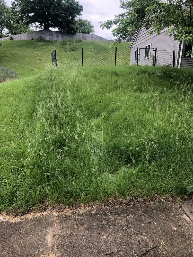 Affordable yard maintenance in Hamilton, OH - Growth & Development Landscaping and Home Repair