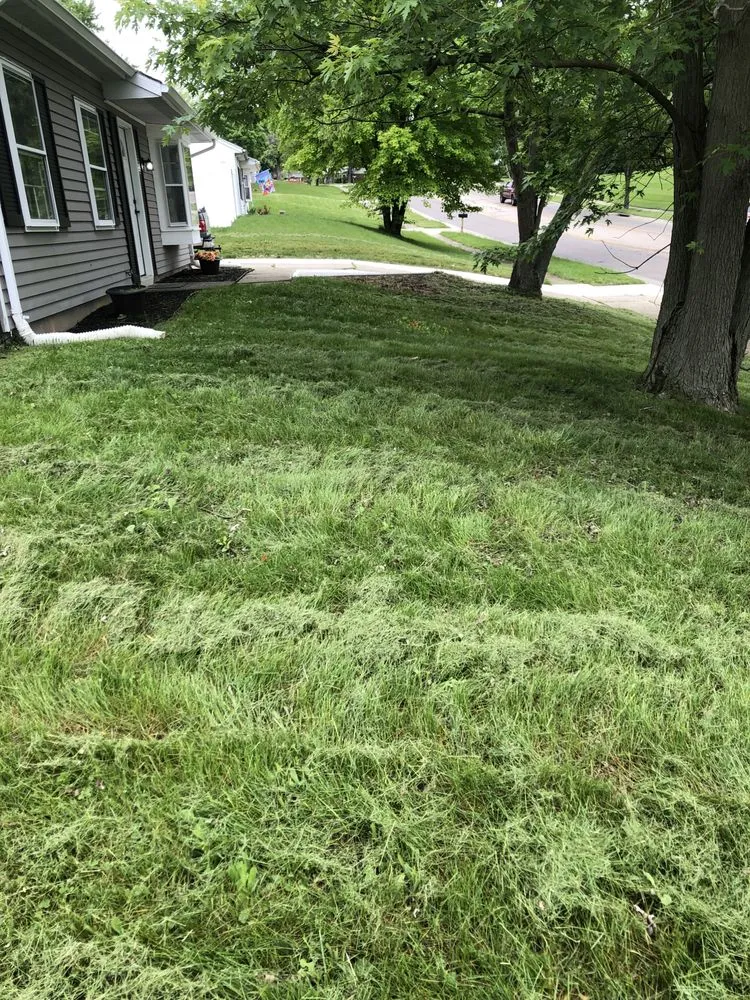 Reliable landscaping services in Hamilton, OH by Growth & Development Landscaping and Home Repair