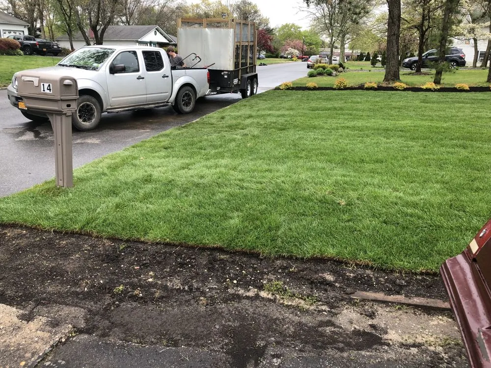 Affordable yard cleanup service in Port Jefferson, NY - Growth Landscaping