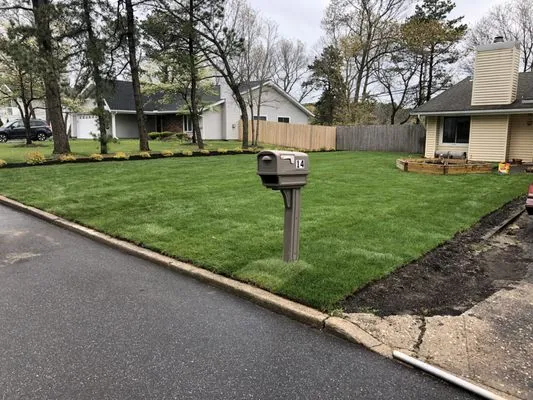 Growth Landscaping