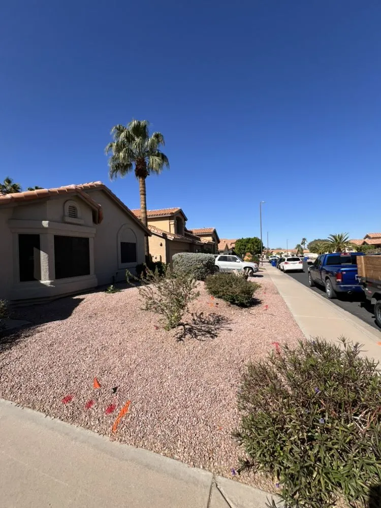 Expert garden landscaping for year-round maintenance across Mesa, AZ - Growwith Theflow