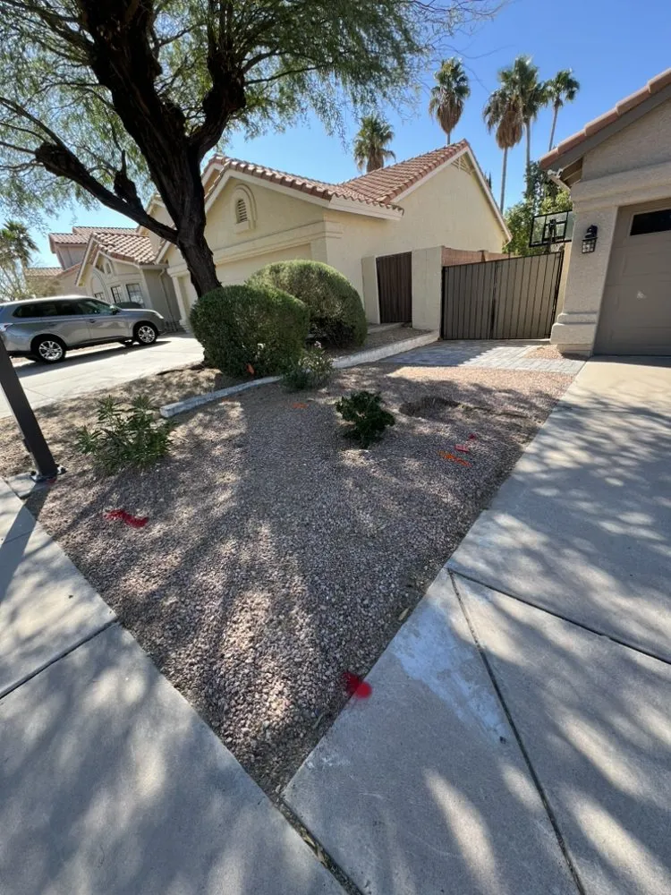 Top-rated garden landscaping near you in Mesa, AZ by Growwith Theflow