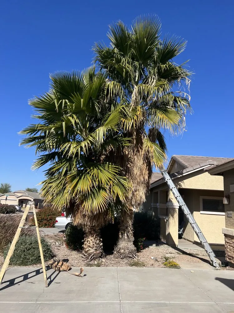 Trusted lawn care service experts serving Mesa, AZ - Growwith Theflow