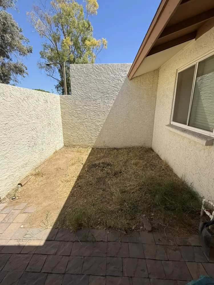 Top-rated garden landscaping in Mesa, AZ - Growwith Theflow