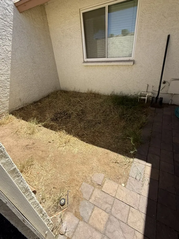 Local landscaping services for year-round maintenance across Mesa, AZ - Growwith Theflow