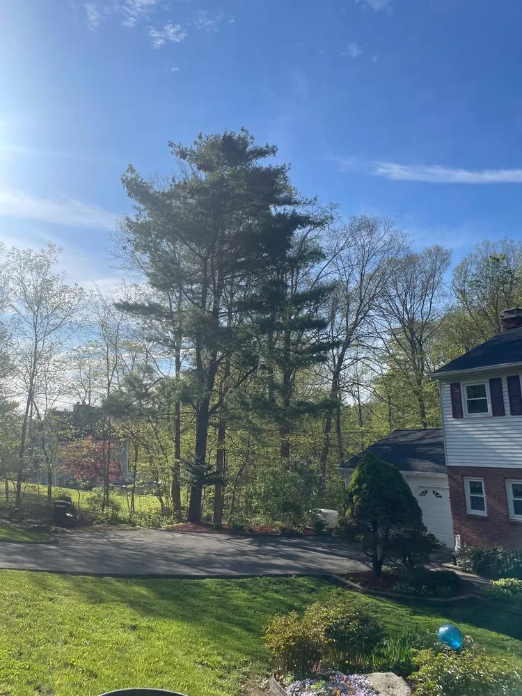 Professional yard cleanup service experts serving Danbury, CT - Grs Tree Service & Landscaping