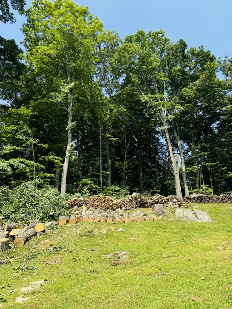 Trusted landscaping services for beautiful yards across Danbury, CT - Grs Tree Service & Landscaping