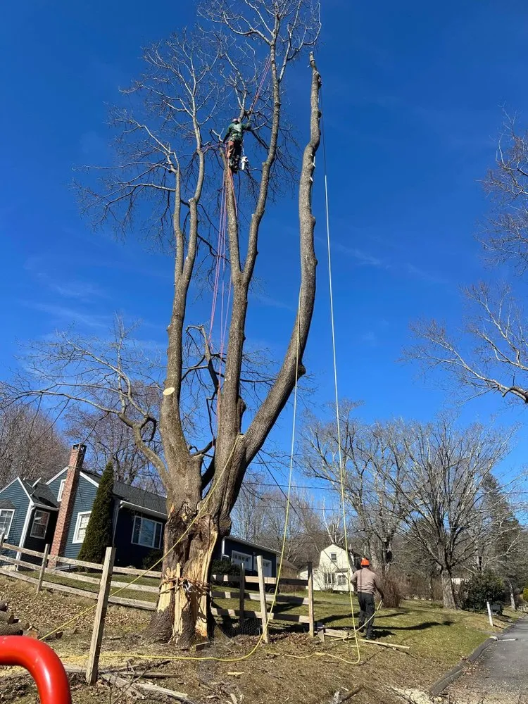 Professional lawn care service experts serving Danbury, CT - Grs Tree Service & Landscaping